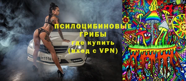 гашик Вязники