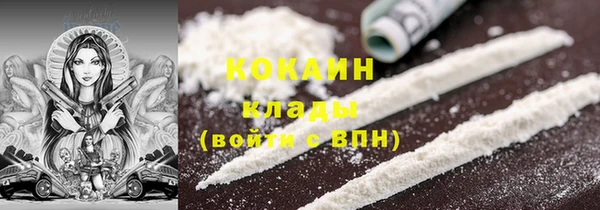 гашик Вязники